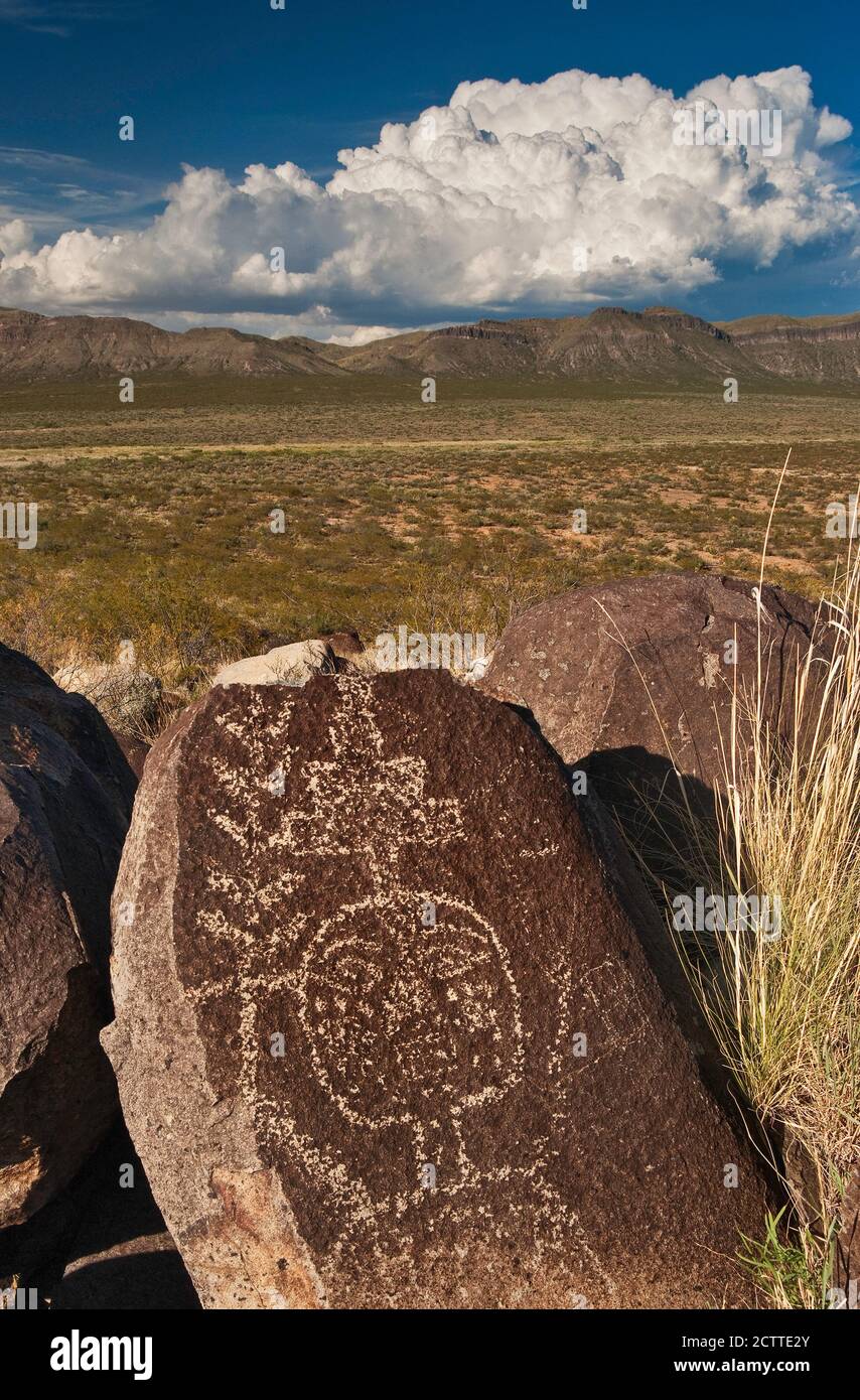 L'art rupestre de style Jornada Mogollon sur le site de Three Rivers Petroglyph, Godfrey Hills près de la Sierra Blanca, Chihuahuan Desert Nouveau-Mexique, Etats-Unis Banque D'Images