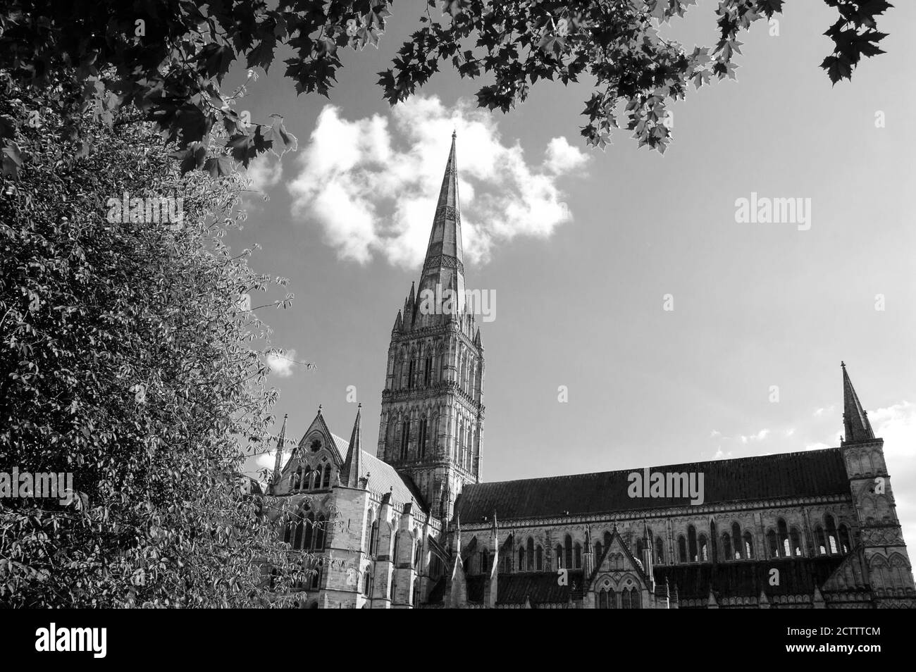 Cathédrale de Salisbury (Angleterre, Royaume-Uni). Vue à travers les arbres en plein soleil l'été. Photo historique noir blanc. Banque D'Images