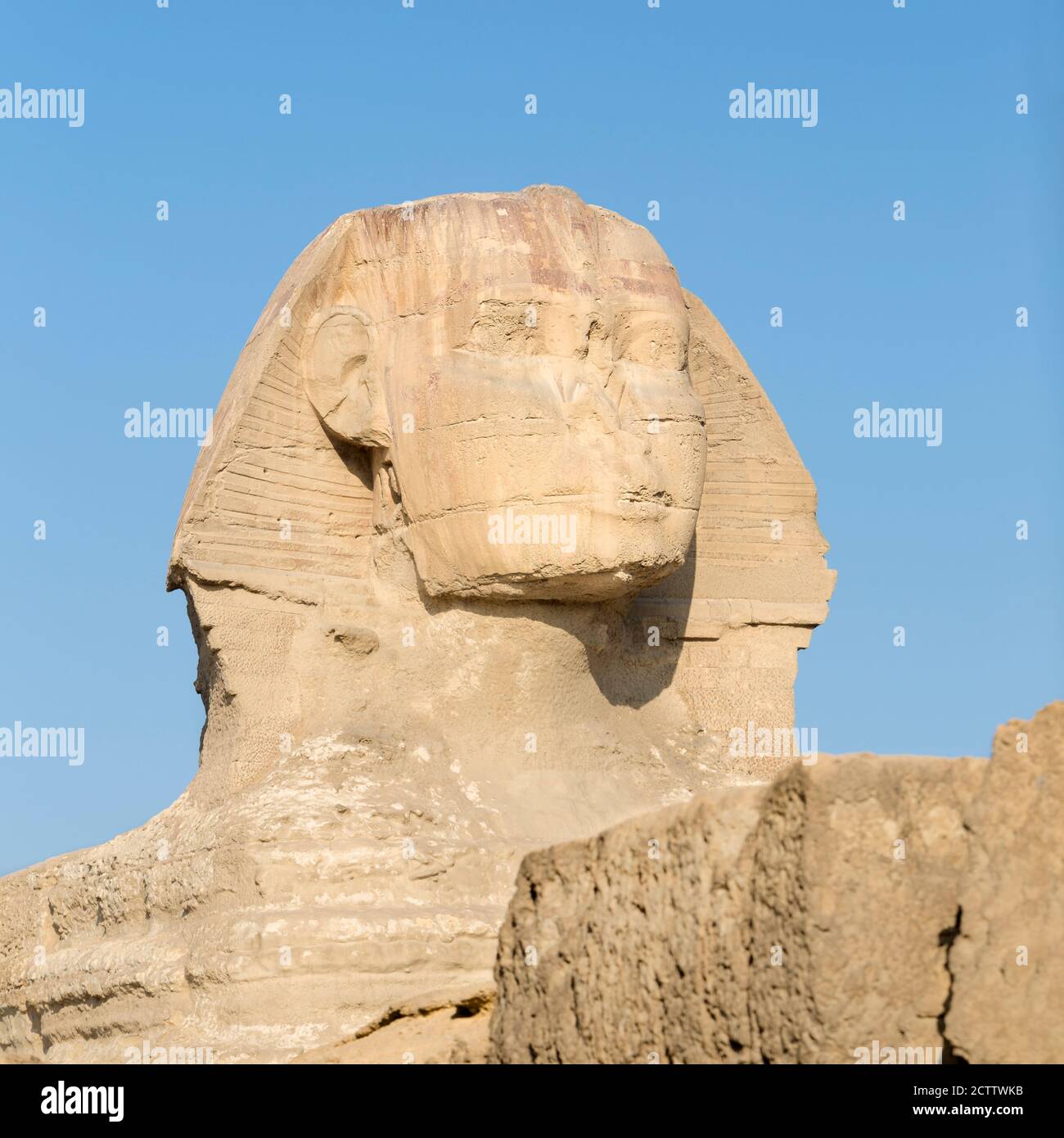 Le grand Sphinx, Giza, le Caire, l'Égypte Banque D'Images