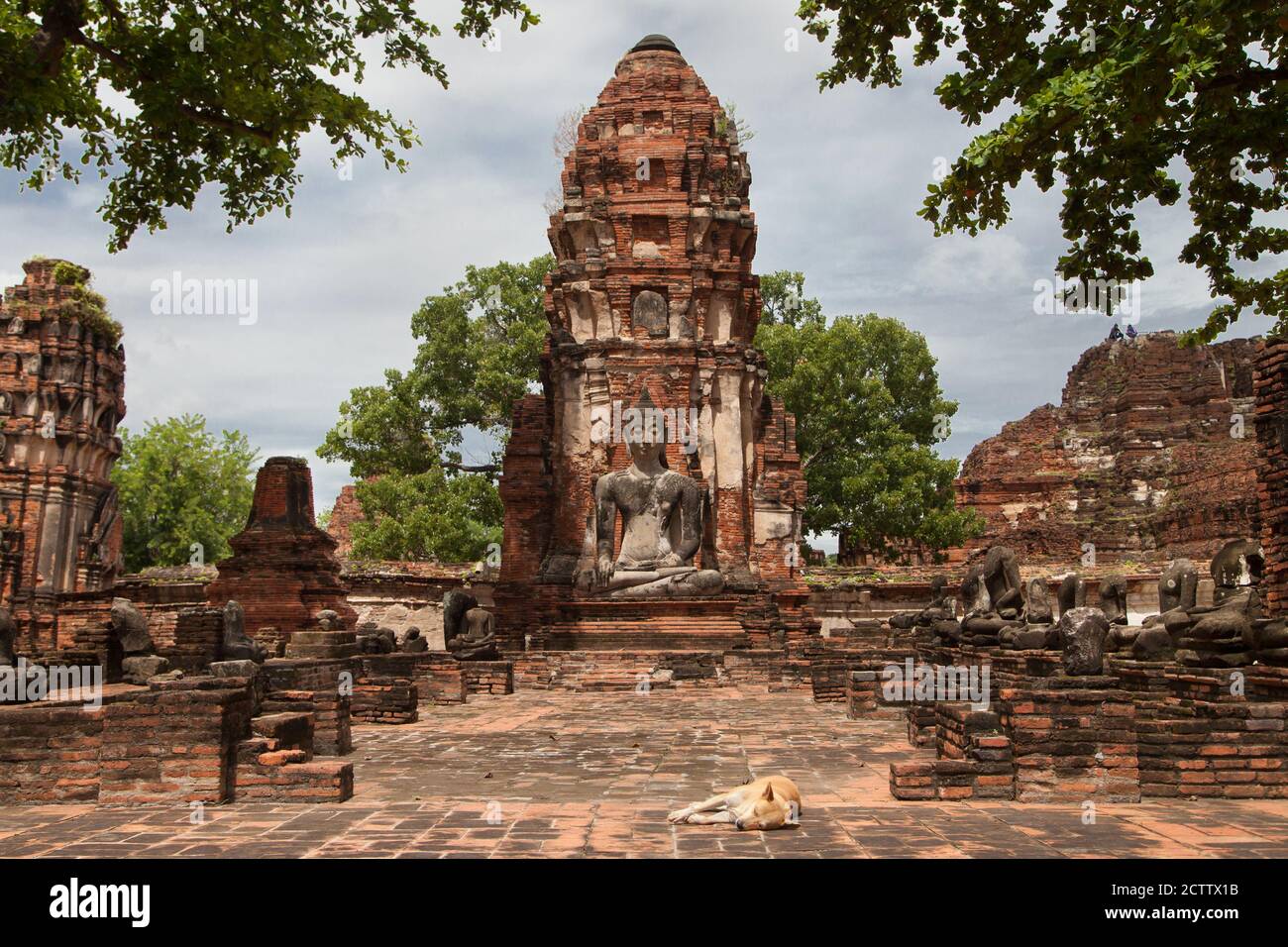 Wat Mahathe à Ayutthaya, Thaïlande. Banque D'Images