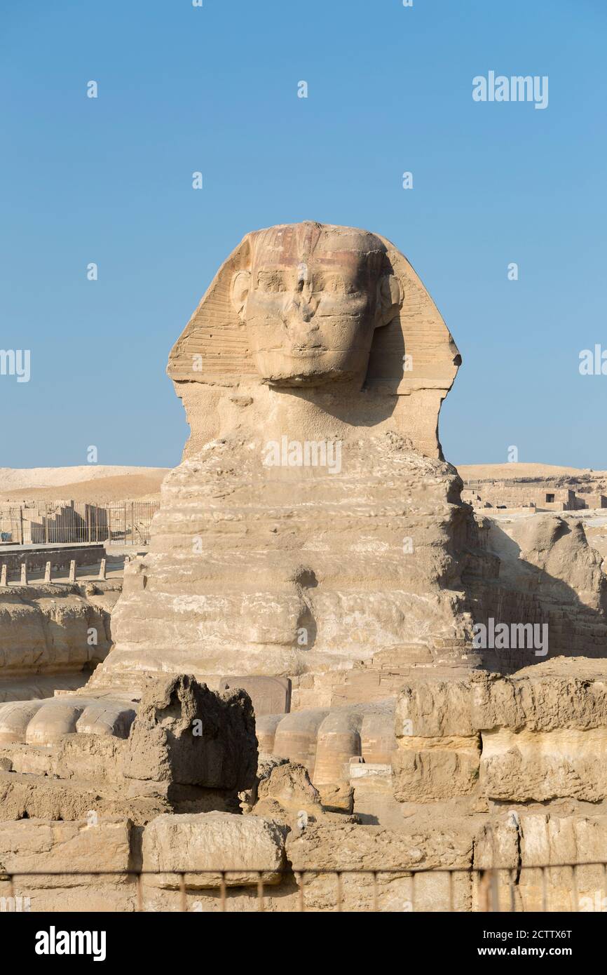 Le grand Sphinx, Giza, le Caire, l'Égypte Banque D'Images