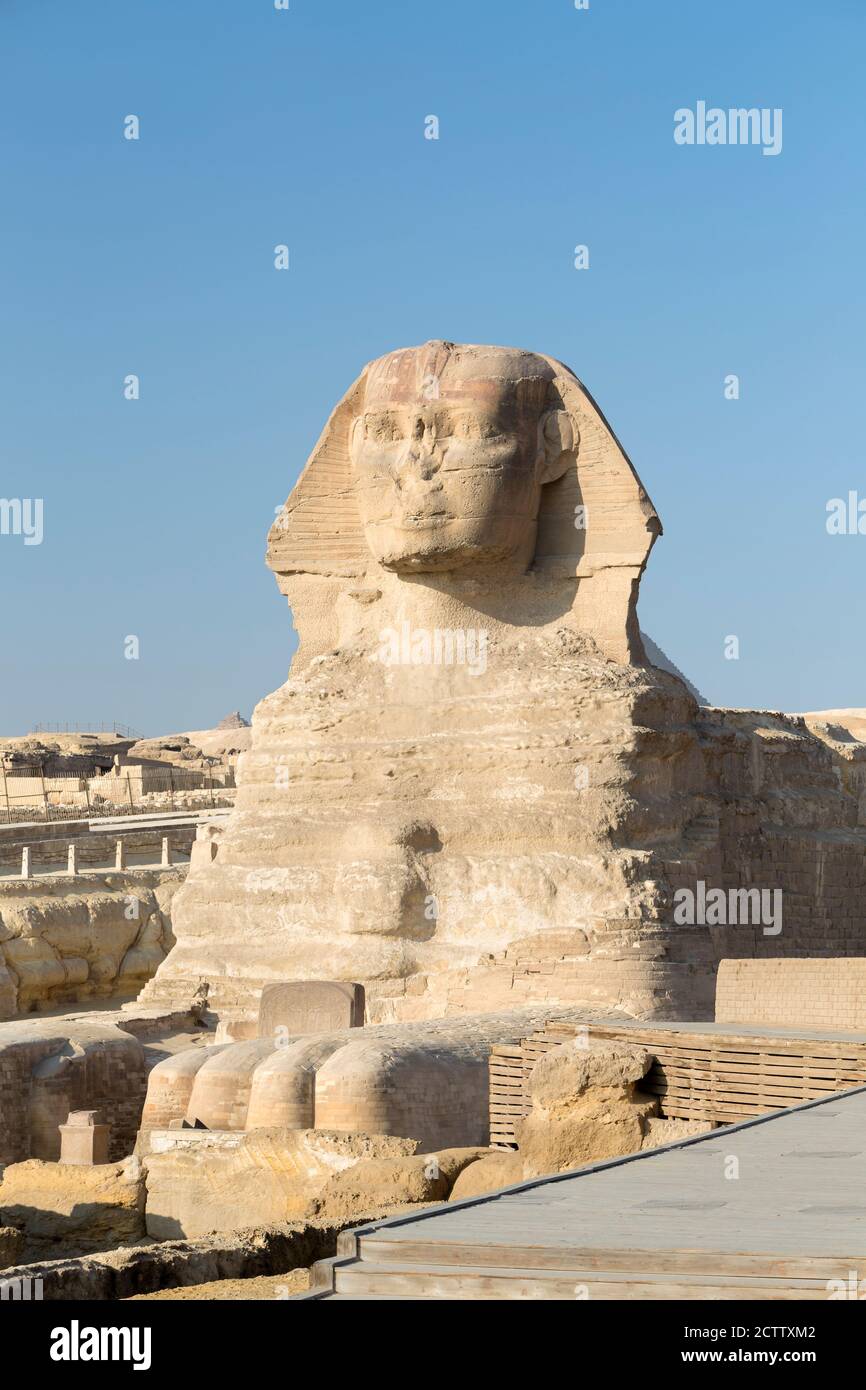 Le grand Sphinx, Giza, le Caire, l'Égypte Banque D'Images