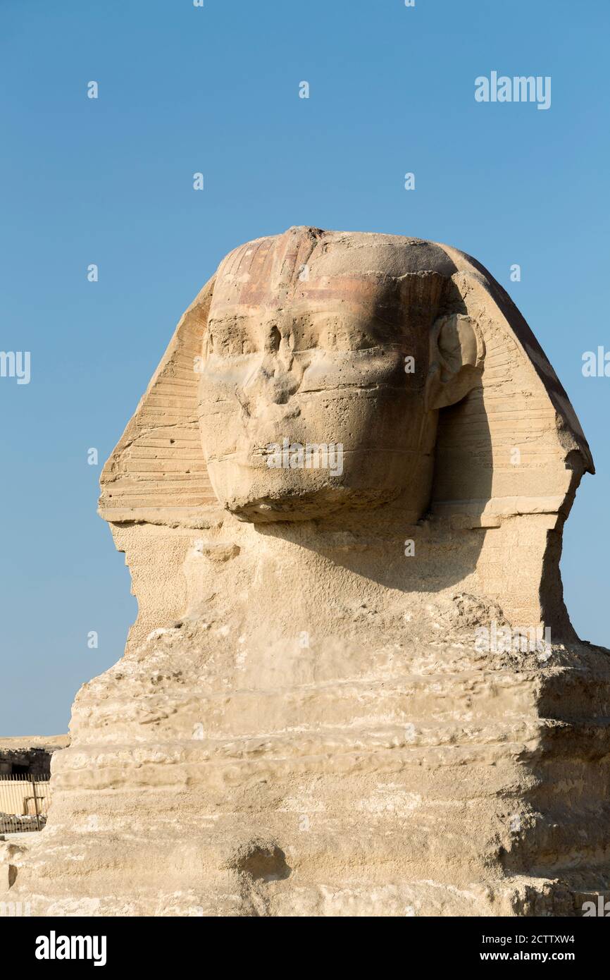 Le grand Sphinx, Giza, le Caire, l'Égypte Banque D'Images