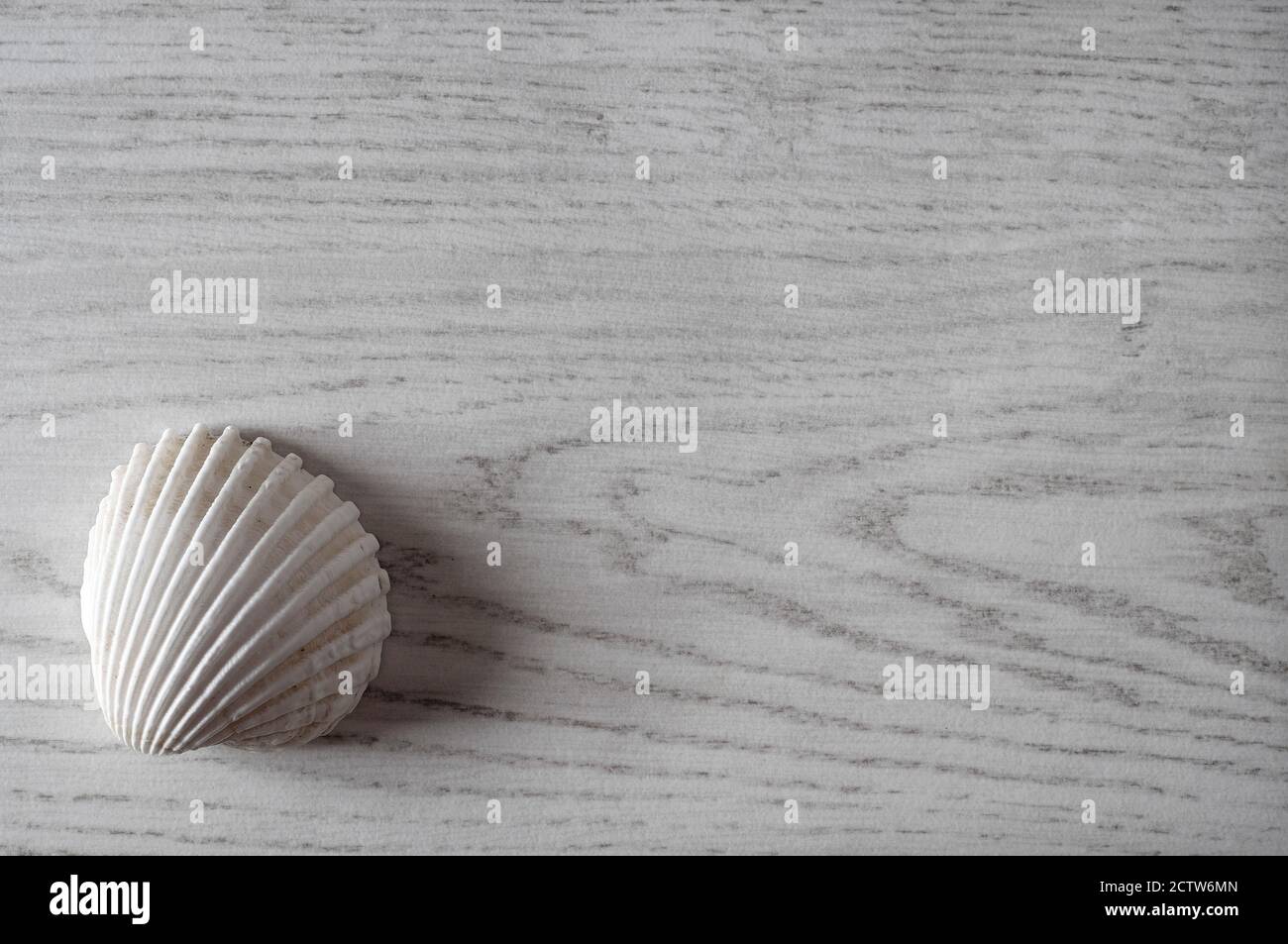 coques de mer sur une surface de bois de style blanchi au soleil, norfolk, angleterre Banque D'Images