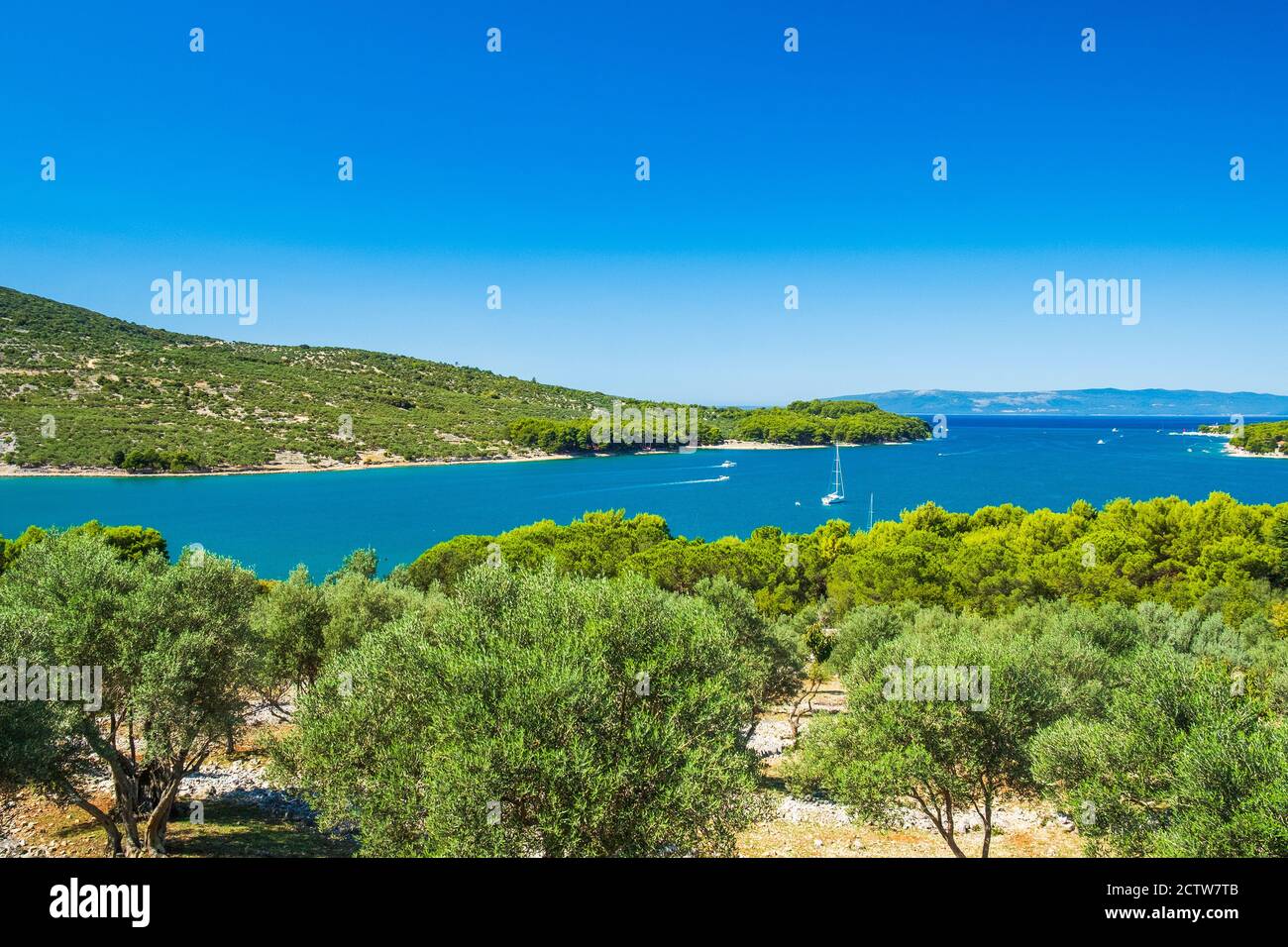 Oliviers et magnifique paysage Adriatique, bateau à voile dans le lagon sur l'île de Cres en Croatie Banque D'Images