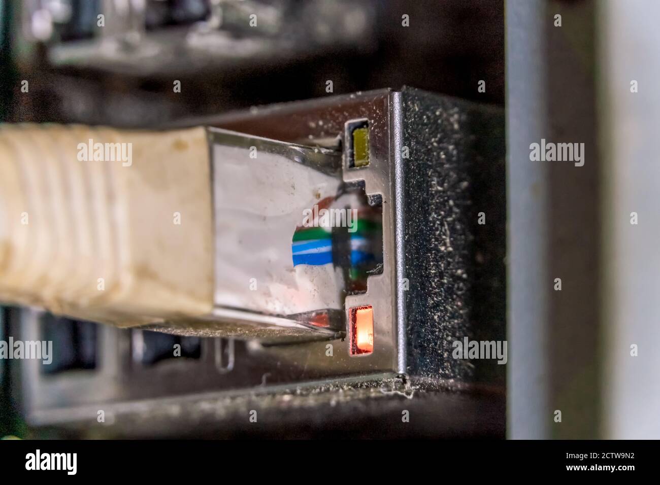 Câble réseau branché sur la prise, macrophotographie Banque D'Images