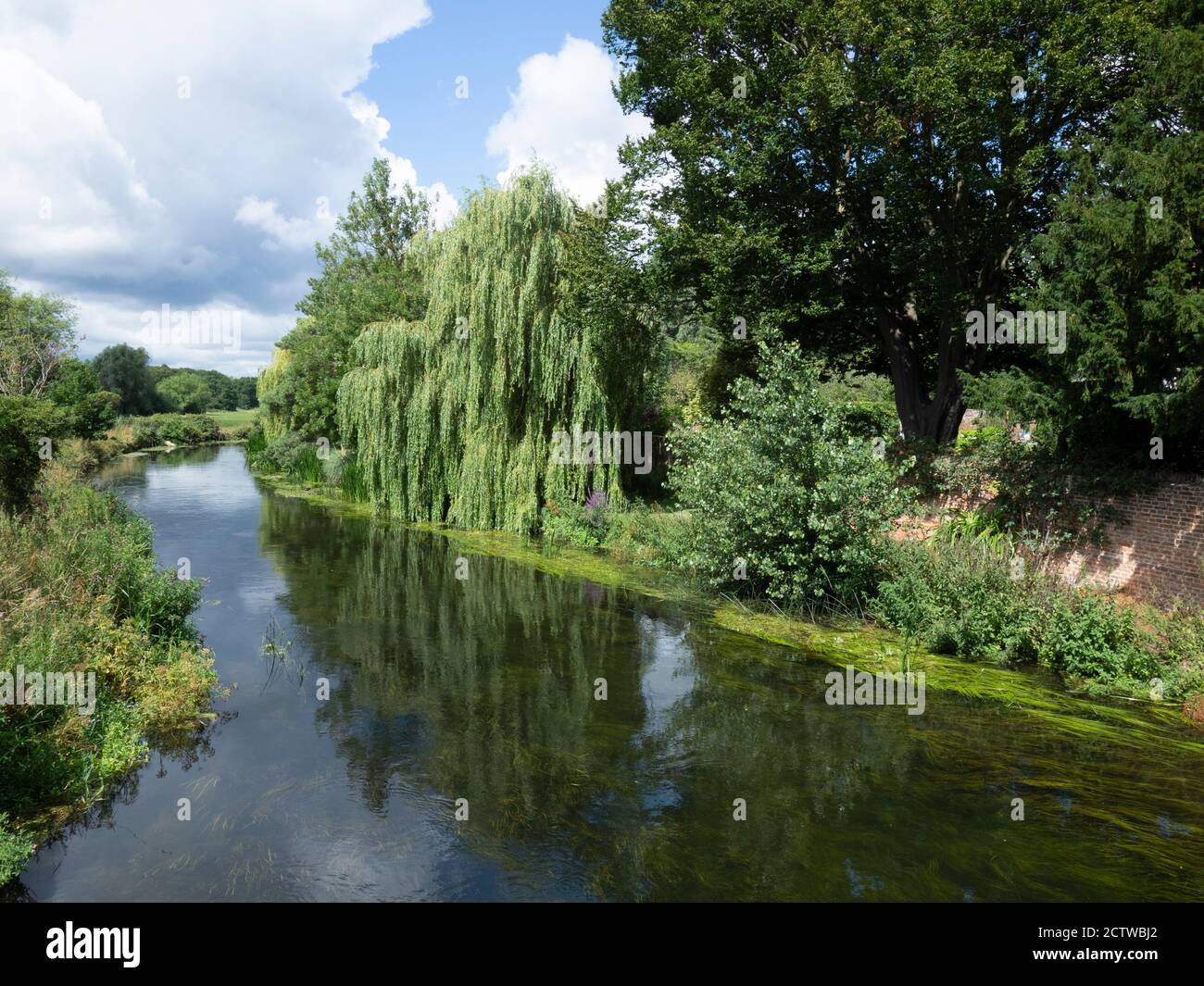 Vue sur la rivière Stour Fordwich, Kent, Royaume-Uni Banque D'Images