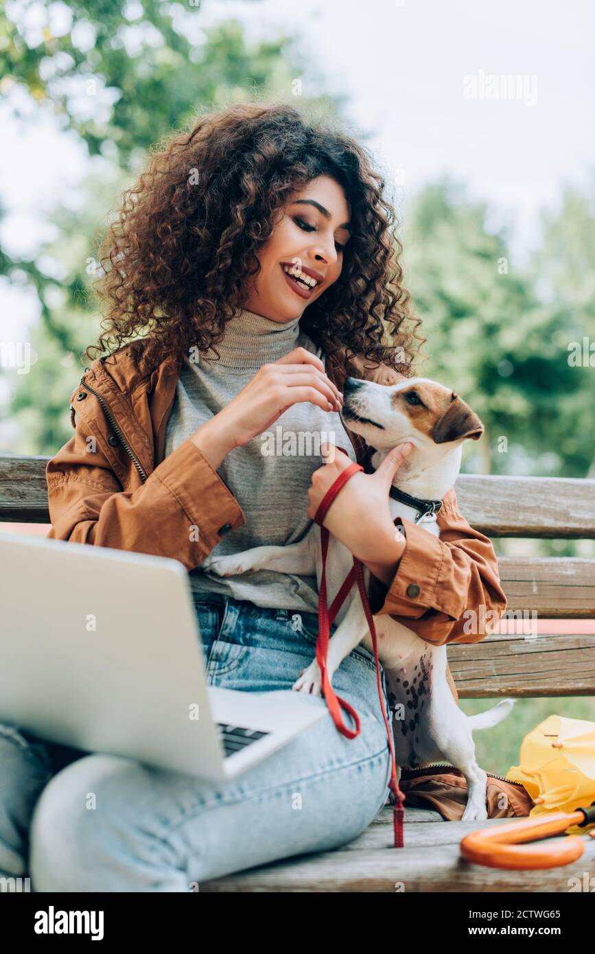indépendant élégant assis sur un banc avec ordinateur portable et prise d'alimentation chien terrier russell Banque D'Images
