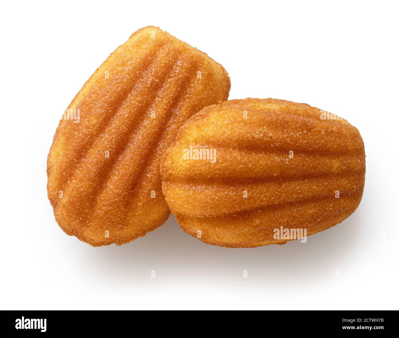 Gâteaux Madeleines fraîchement cuits isolés sur fond blanc, vue de dessus Banque D'Images