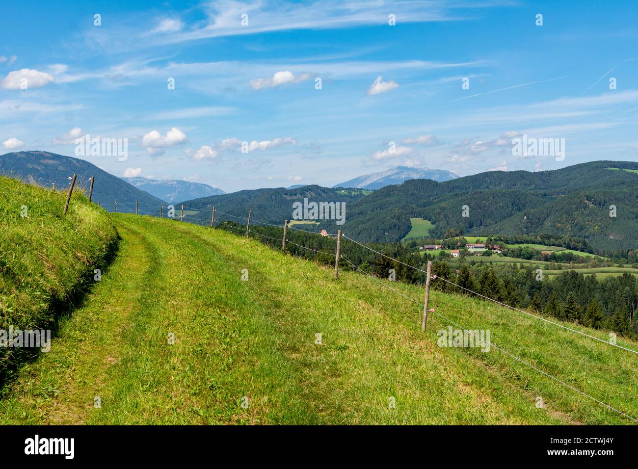 Belle vue sur les montagnes alpines idylliques avec des prairies, des arbres et des sommets de montagne lors d'une belle journée ensoleillée avec le ciel bleu en été Banque D'Images