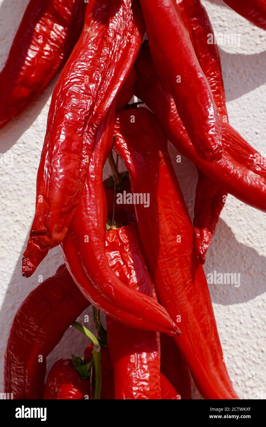 Poivrons rouges doux séchant au soleil à Andalucía, Espagne Banque D'Images