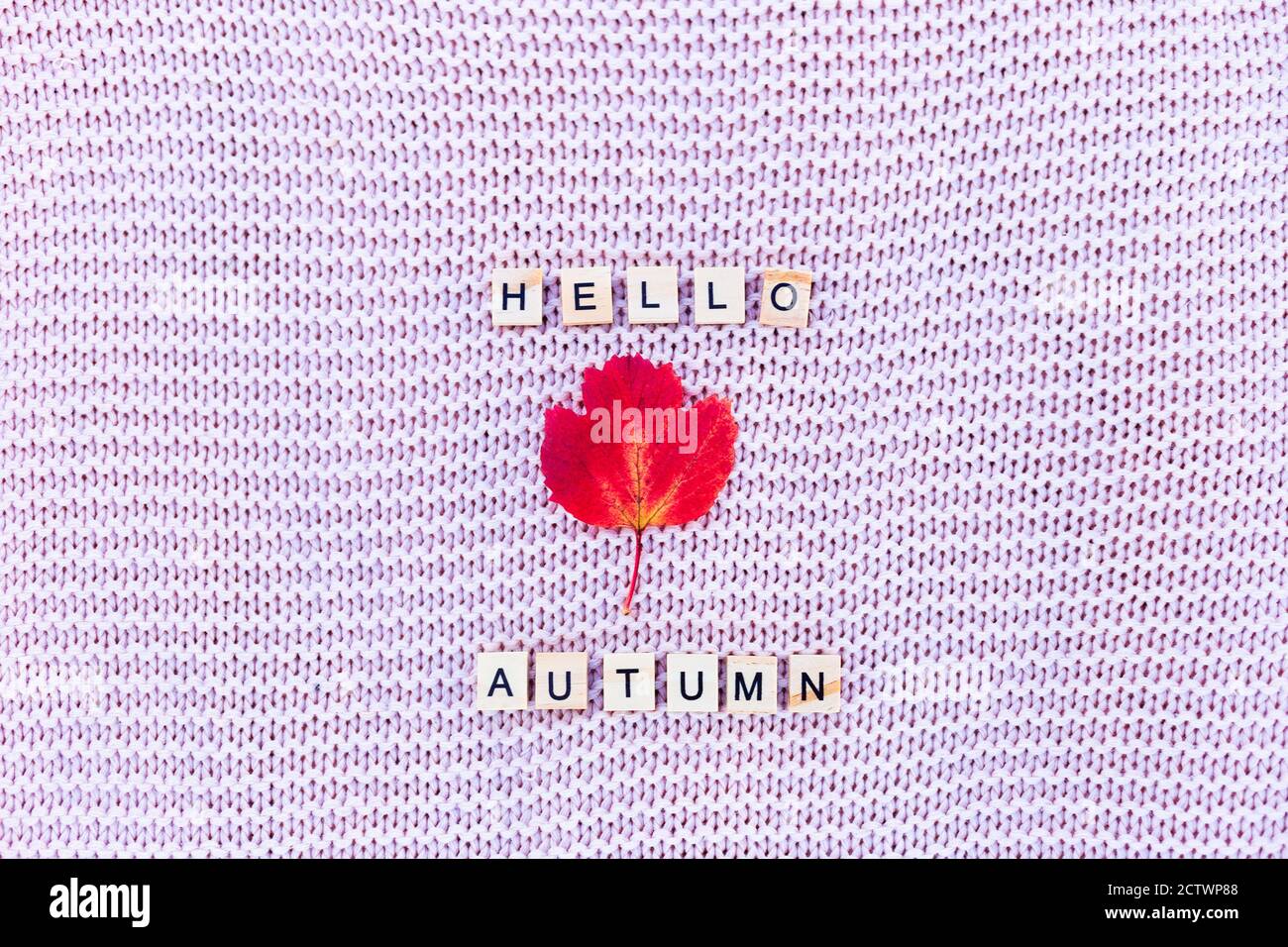Une feuille rouge et les mots HELLO AUTUMN se trouvent sur un fond tricoté. Banque D'Images