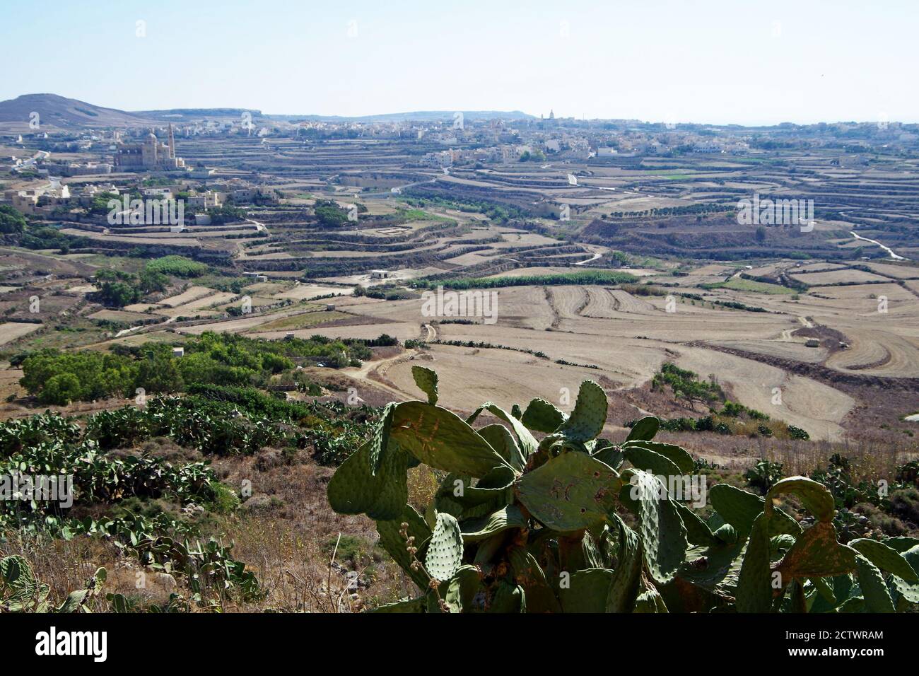 Vue sur la campagne de Gozo, Malte Banque D'Images