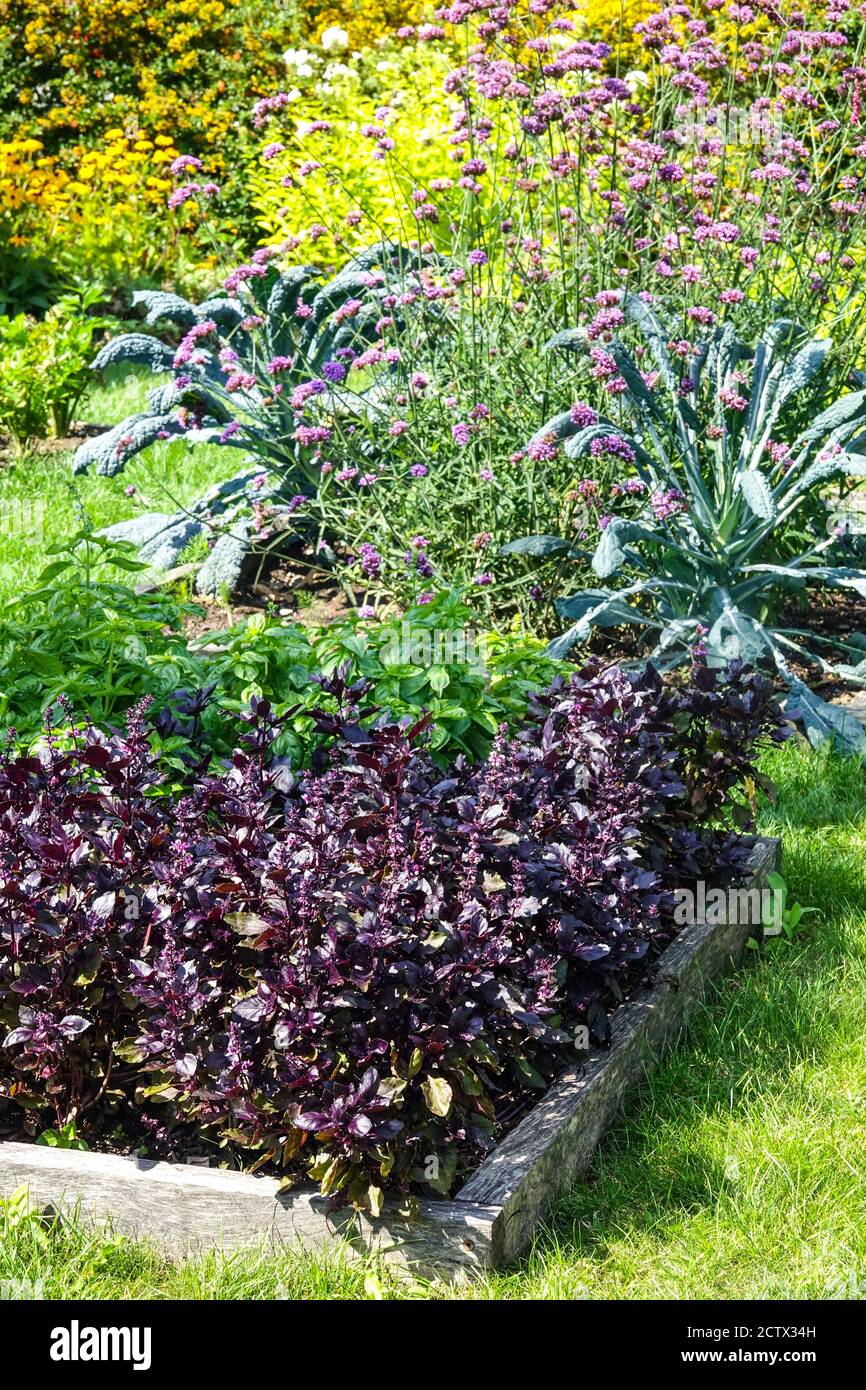 Jardin potager et fleurs jardin à lit rehaussé horticulture, Jardinage Banque D'Images
