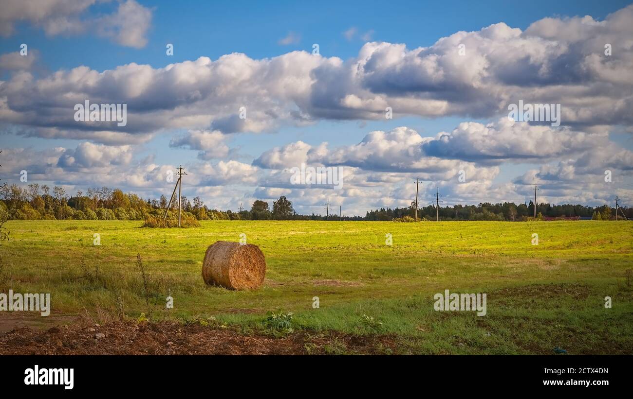 Une balle de foin ronde de couleur dorée reposant sur le champ de chaume récolté sur un fond ciel nuageux et pittoresque. Banque D'Images