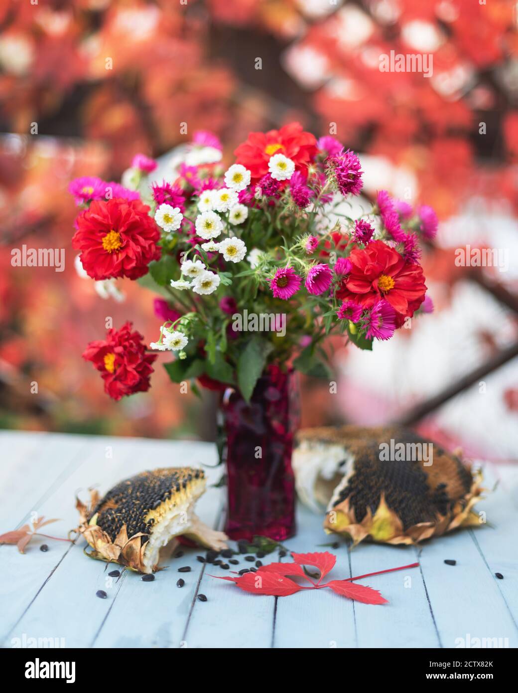 Bouquet de fleurs d'automne rouges et blanches dans un vase en verre sur une table en bois Banque D'Images