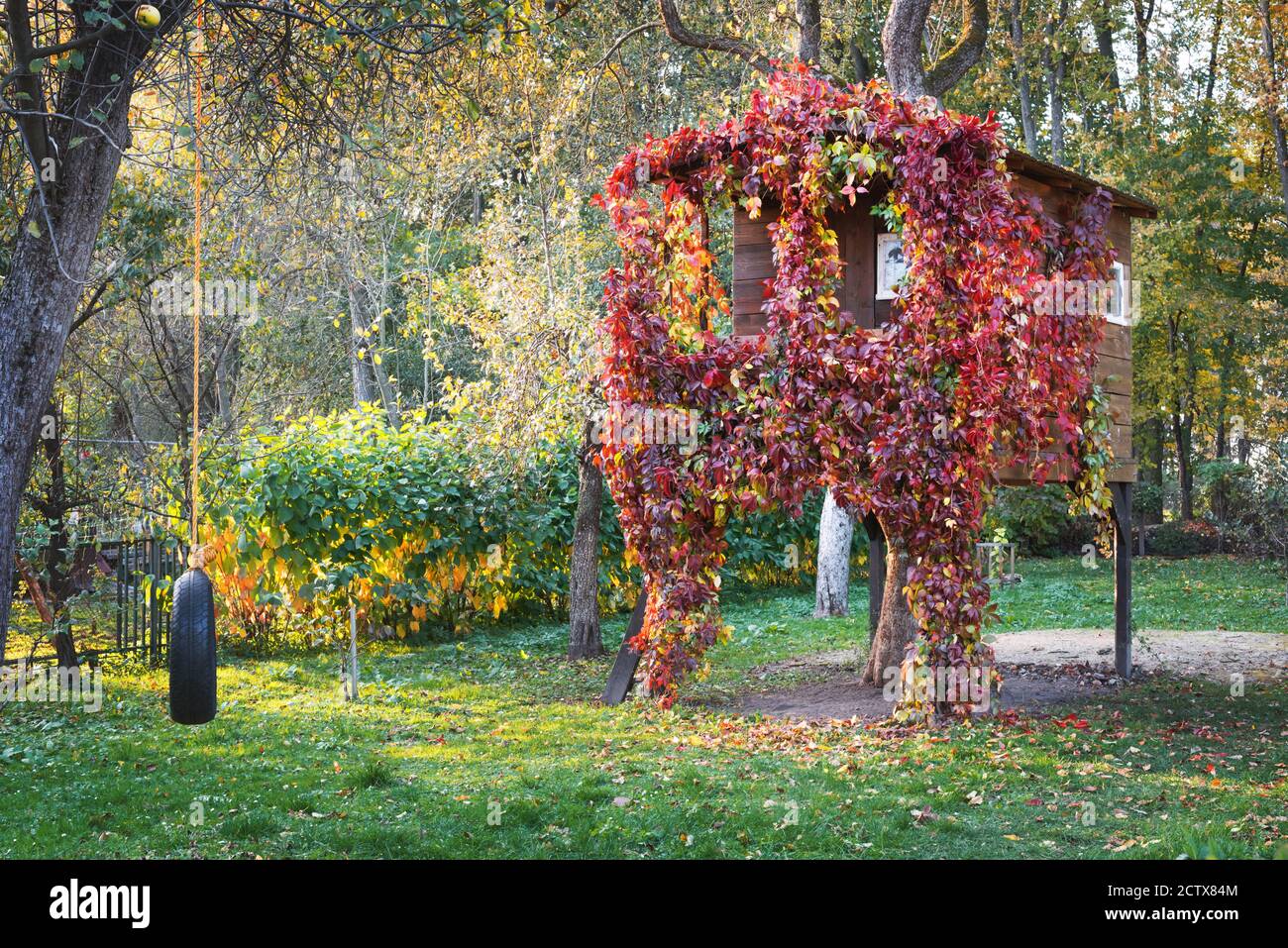 Une maison sur un arbre lumineux de l'intérieur et surcultivé avec de la vigne rouge dans un jardin d'automne Banque D'Images