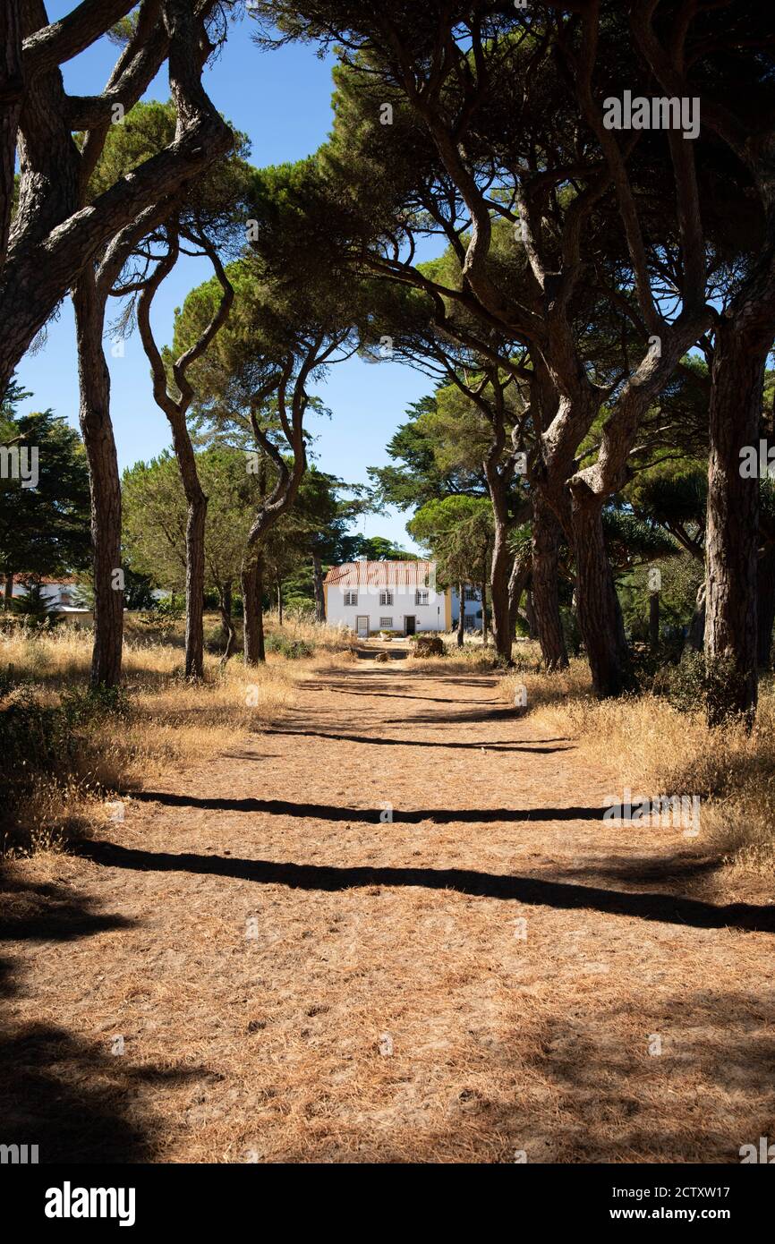 Le complexe hôtelier original Quinta da Marinha est situé dans le parc naturel de Sintra - Cascais, classé au patrimoine mondial de l'UNESCO, au Portugal. Banque D'Images