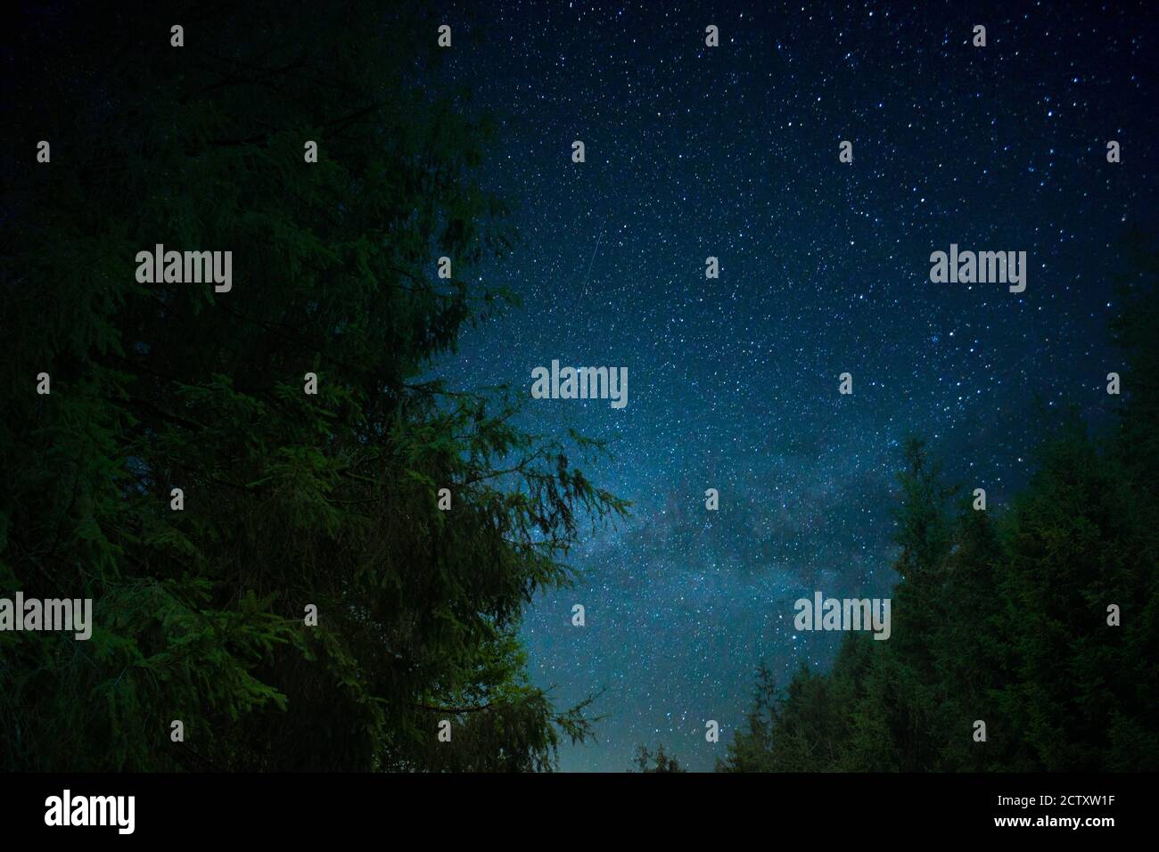 un arbre dans l'espace Banque D'Images