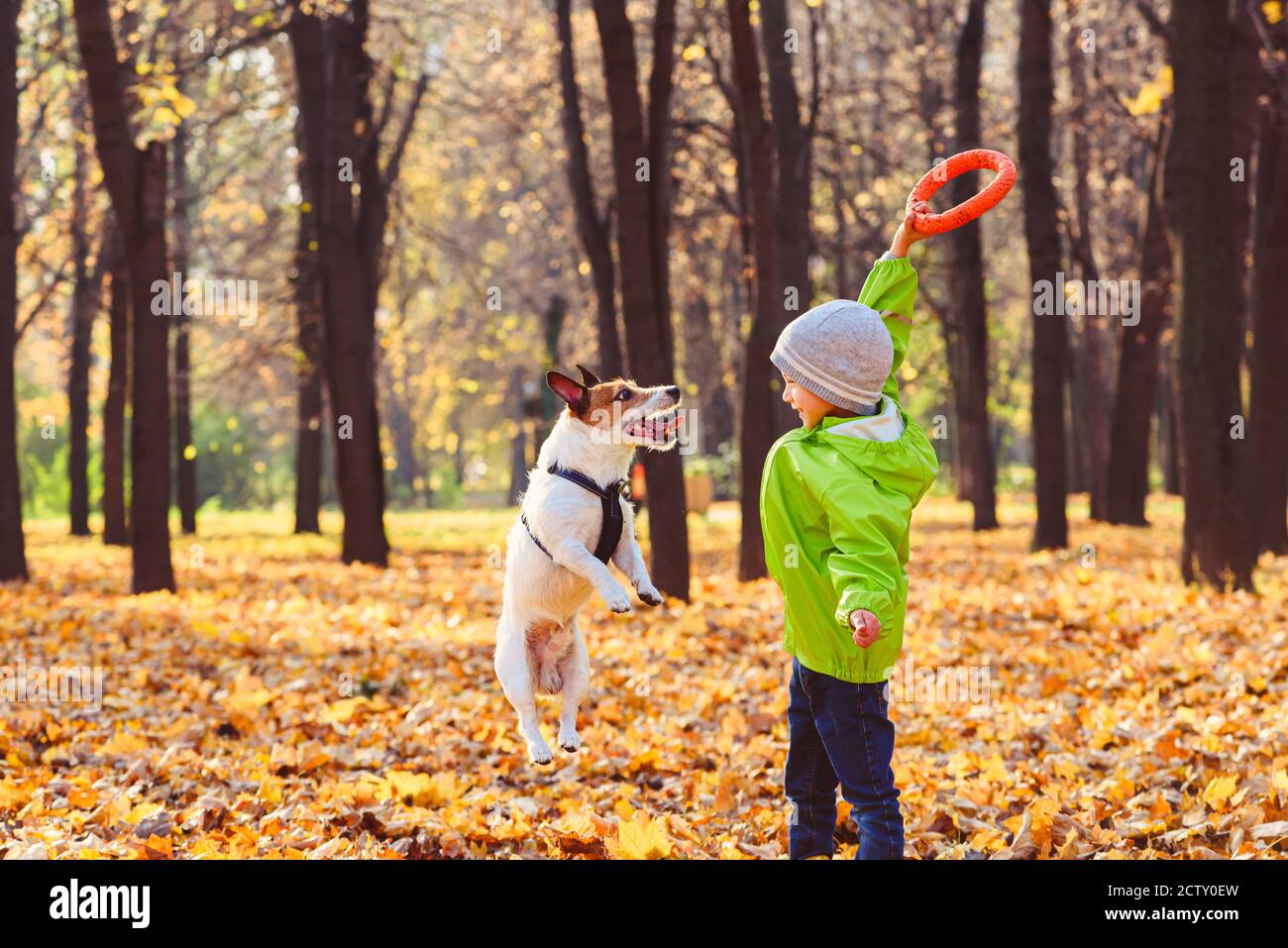 En famille, vous pouvez vous amuser dans le parc d'automne avec Happy chien de compagnie le beau jour ensoleillé d'octobre Banque D'Images