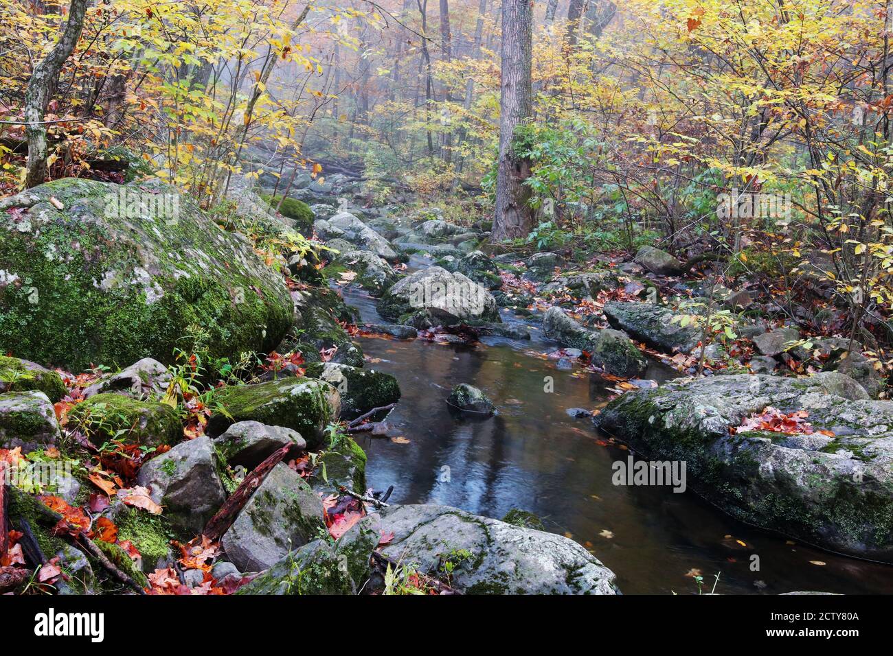 Magnifique paysage d'automne avec ruisseau dans la forêt d'arbres colorés au parc national de Devils Lake, région de Baraboo, Wisconsin, Etats-Unis. Banque D'Images