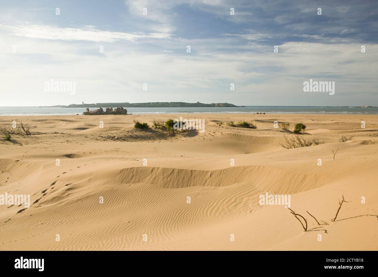 Dunes de sable dans un désert, Diabat, Essaouira, Côte Atlantique, Maroc Banque D'Images