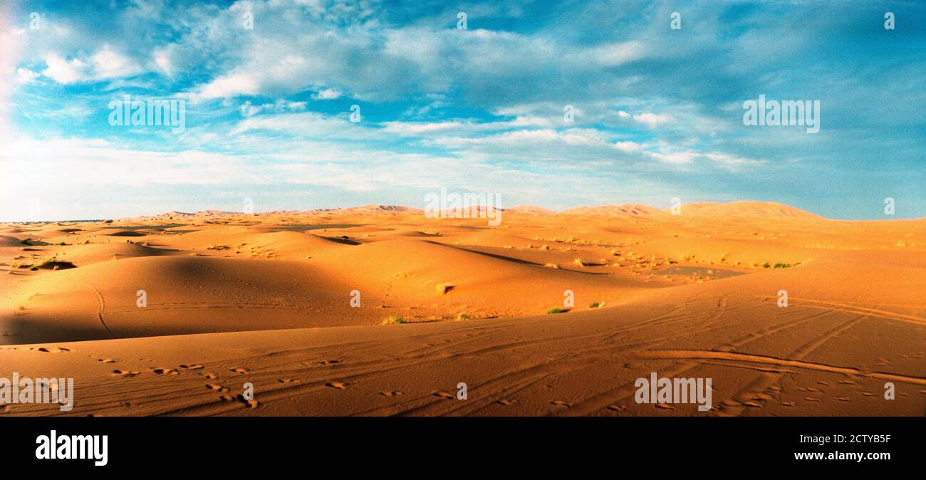 Paysage du désert du Sahara, Maroc Banque D'Images