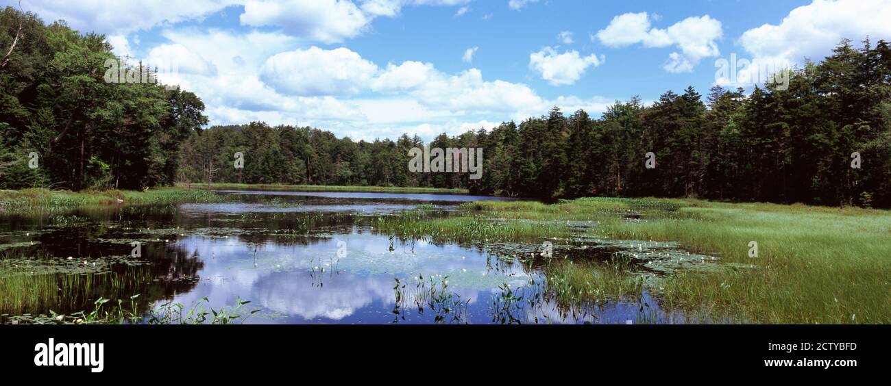 Réflexion de nuages dans un étang, Adirondack Mountains, État de New York, États-Unis Banque D'Images