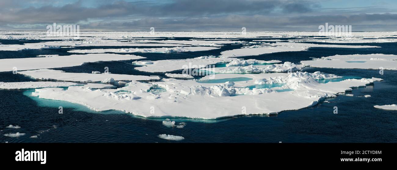 Flotteurs de glace sur l'océan Arctique, Spitzbergen, îles Svalbard, Norvège Banque D'Images