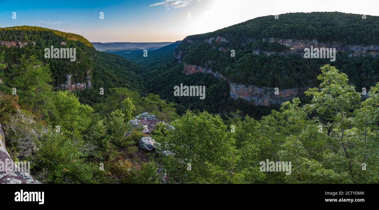 Cloudland Canyon State Park à Rising Fawn, Géorgie, États-Unis Banque D'Images