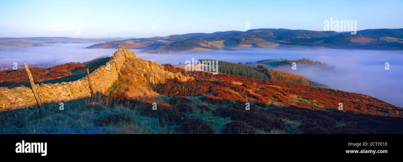 L'automne s'embue au-dessus de la Tweed Valley le matin, Peebles, frontières écossaises, Écosse Banque D'Images