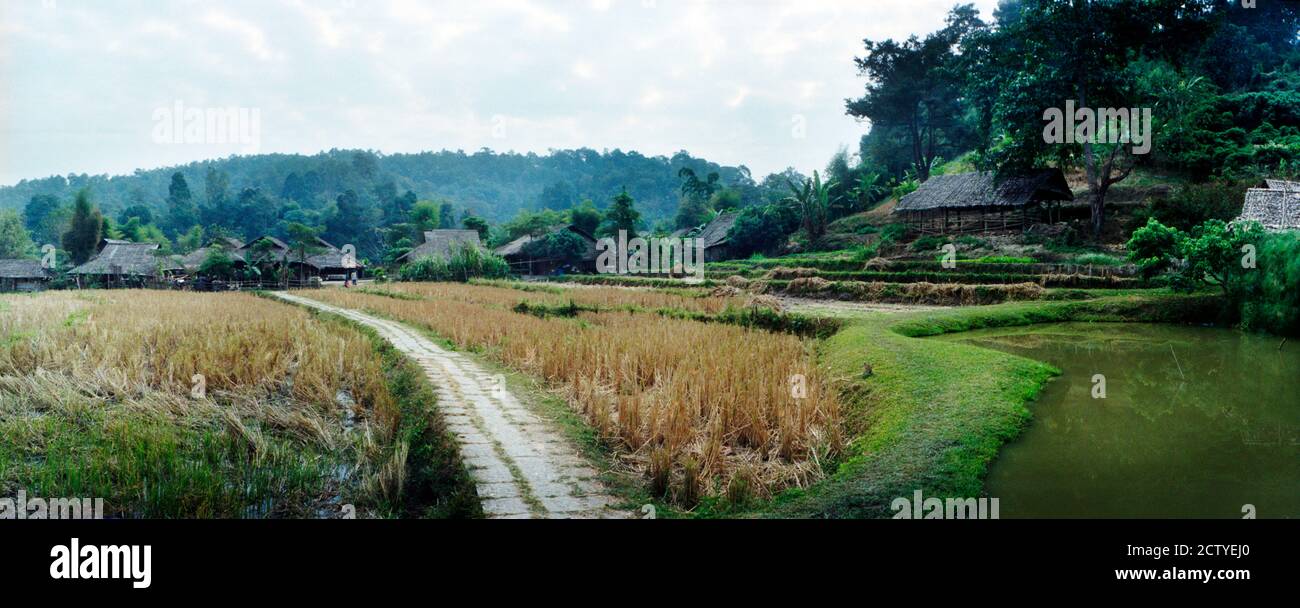 Route de terre traversant un champ, Chiang Mai, Thaïlande Banque D'Images