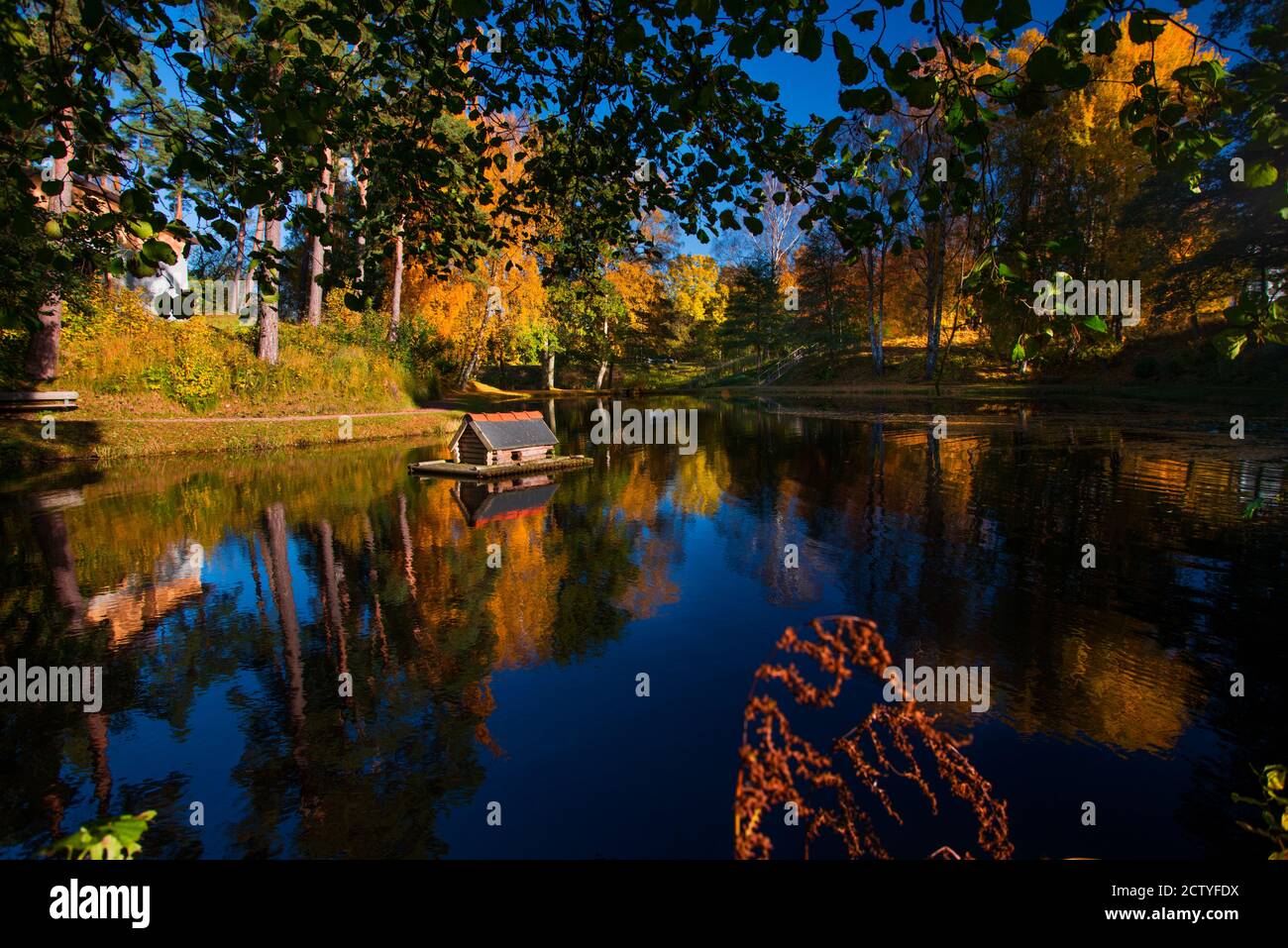 l'automne est sur le chemin et de nombreuses couleurs dans le mère nature Banque D'Images