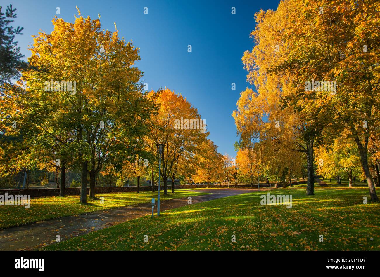 l'automne est sur le chemin et de nombreuses couleurs dans le mère nature Banque D'Images