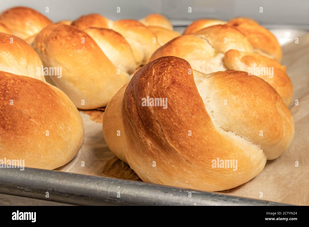 Petits pains de levure faits maison noués. Recette traditionnelle de pain suisse appelée Zopf ou Butterzopf. Les nœuds de pain sont disposés en rangées sur du papier de cuisson, Banque D'Images