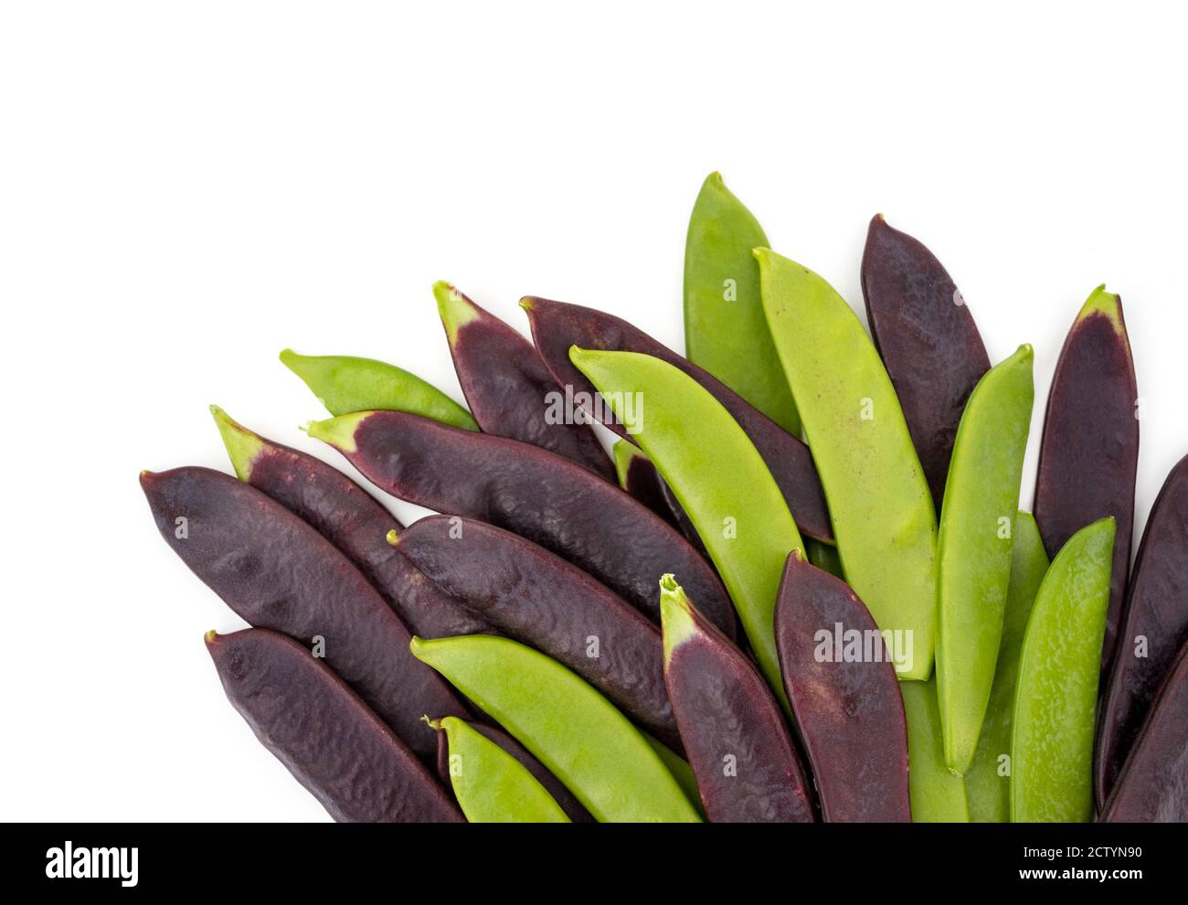 Assortiment de pois à sucre vert et de pois à neige violets. Vue de dessus des gousses de pois alignées en bas. Légumes riches en protéines. Légumes frais. Banque D'Images