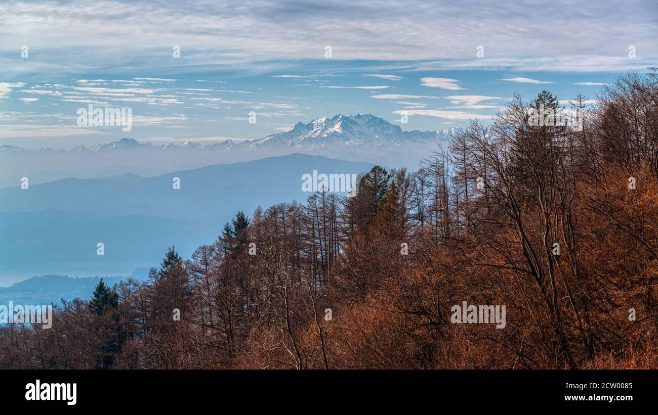 Paysage sur le massif de Monte Rosa en automne avec forêt en premier plan, parc régional de Campo dei Fiori Varese Banque D'Images