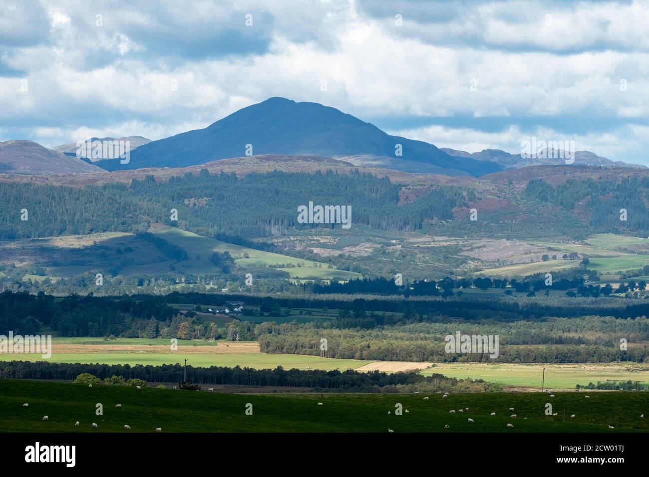 Vue de Kippen Muir vers Ben Ledi dans les Trossachs. Banque D'Images