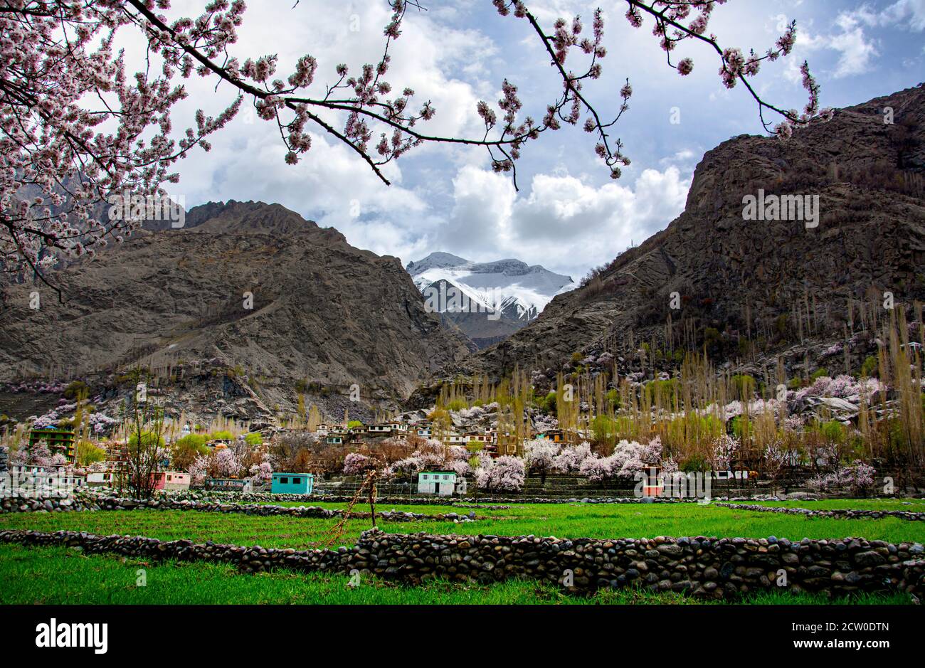 photographie de paysage de printemps de la fleur de cerisier dans les régions du nord de gilgit baltistan Banque D'Images