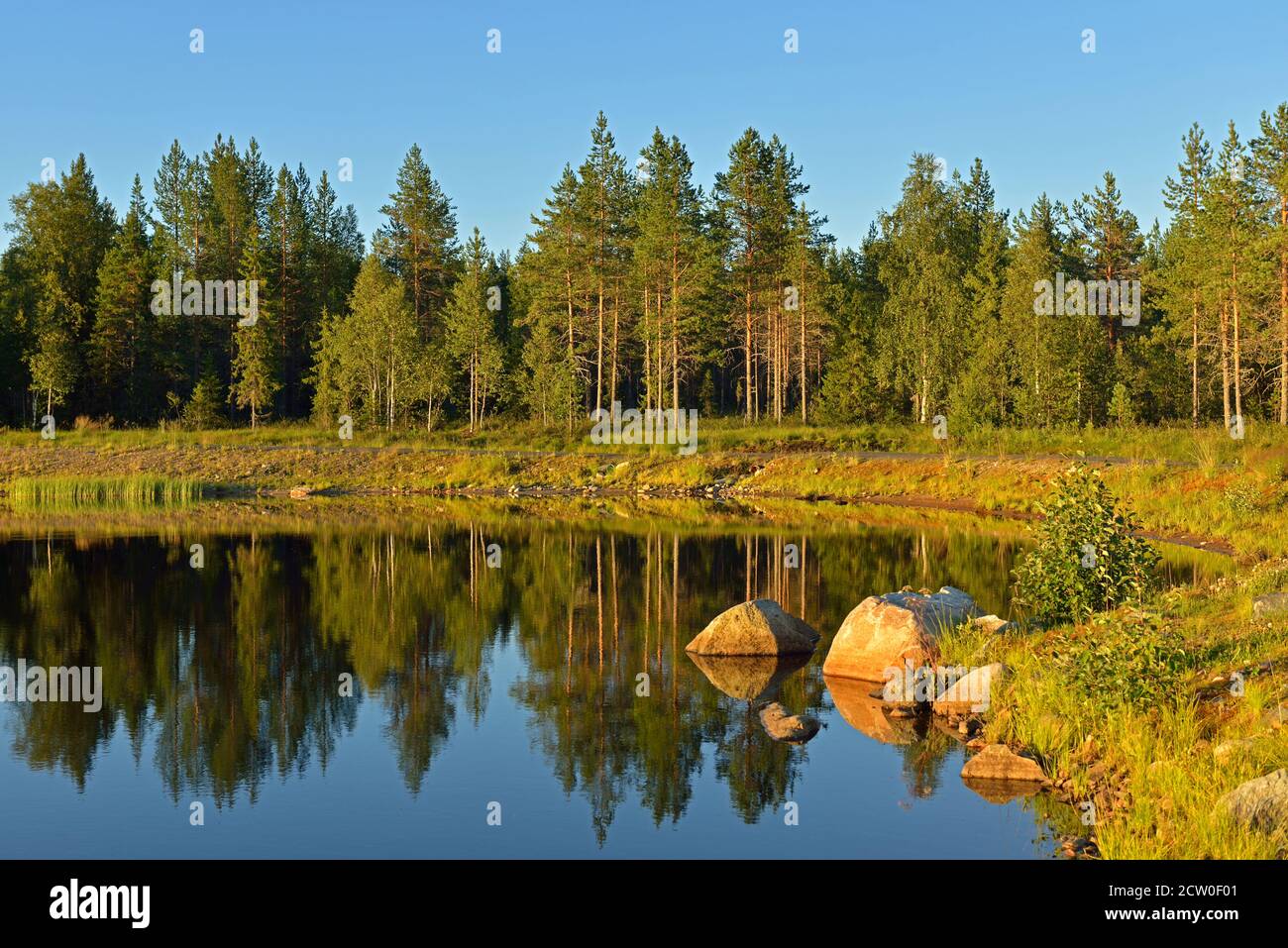 Soirée ensoleillée sur le lac de la forêt du nord. Laponie finlandaise Banque D'Images