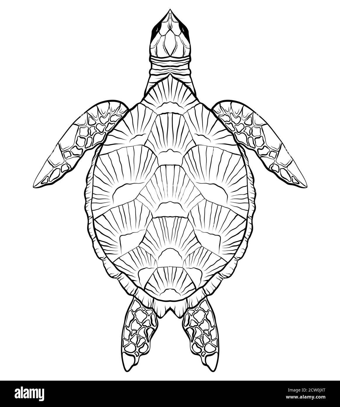 Contour noir et blanc illustration de la tortue. L'objet est séparé de l'arrière-plan. Illustration linéaire pour l'impression sur T-shirts, couvertures, sket Illustration de Vecteur