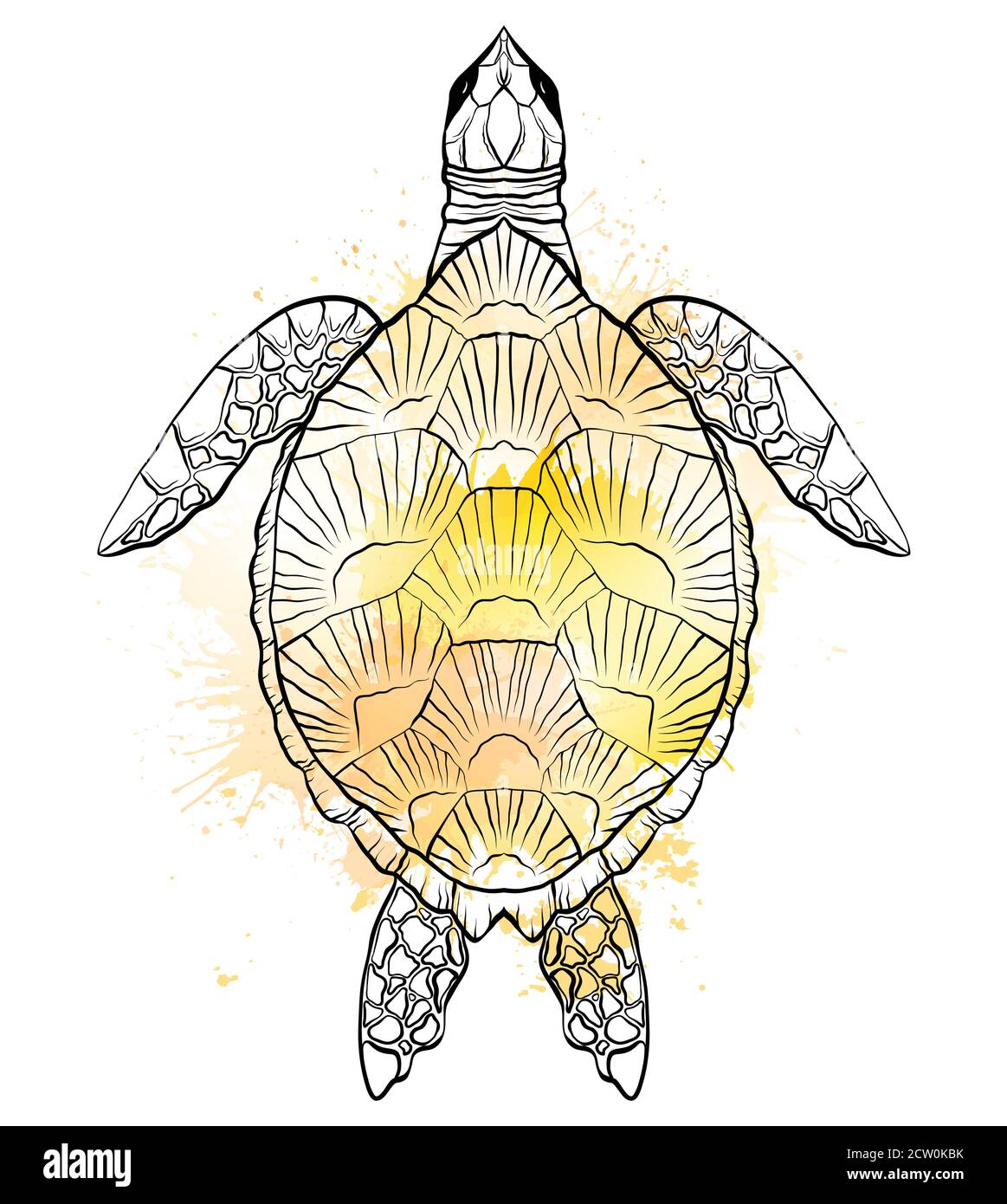 Contour noir et blanc illustration de la tortue avec des éclaboussures d'aquarelle jaune. L'objet est séparé de l'arrière-plan. Illustration linéaire pour pr Illustration de Vecteur