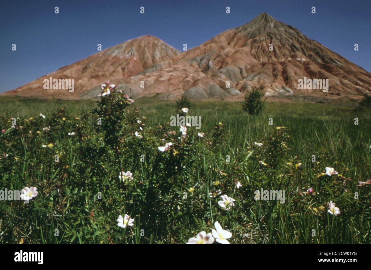 Photo historique des années 1970 : montagne d'argile et de schiste site de marques d'une mine profonde abandonnée près de la ville de Standard il ca. Juin 1973 Banque D'Images