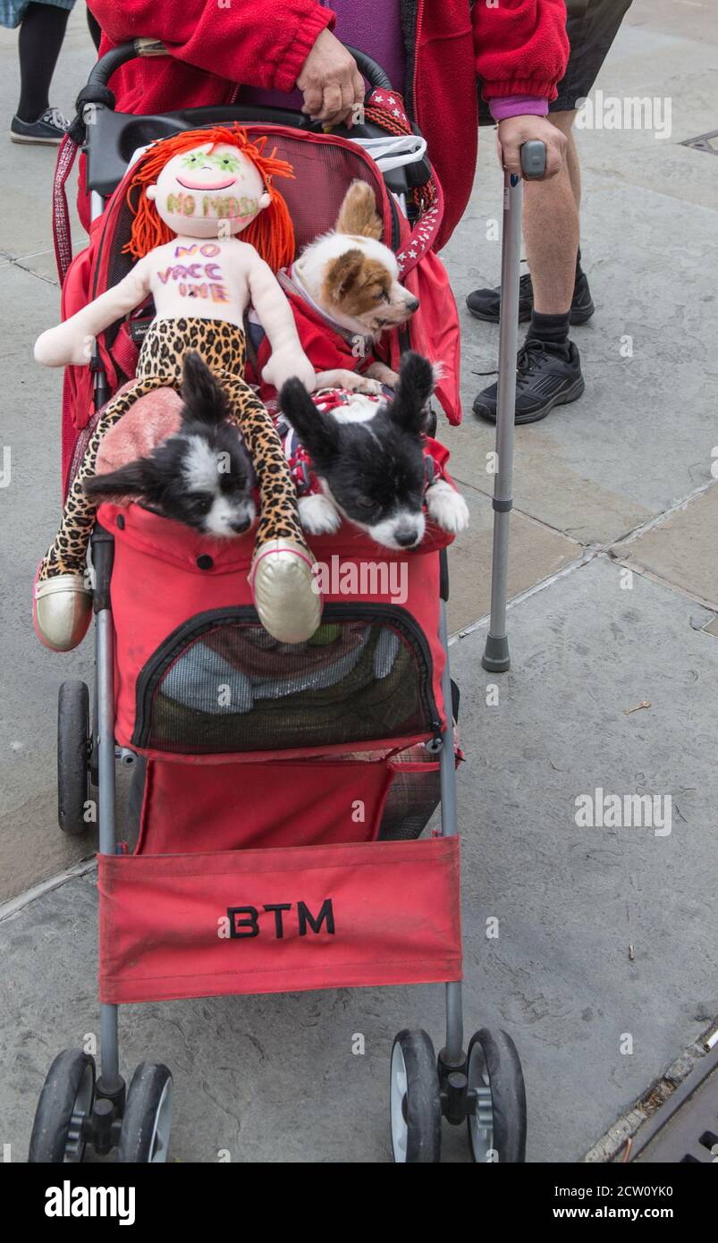 Londres Royaume Uni 26 Septembre Quelques Manifestants Canins A Trafalgar Carre Pour Demontrer Contre Les Nouveaux Dispositifs Anti Blocage Anti Vaccination Mesure Annoncee Par Le Gouvernement Cette Semaine Defiant Le Port Du Masque Et