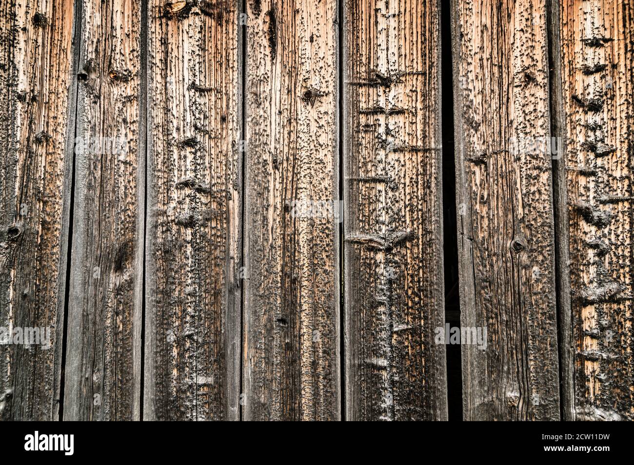 Détail de la paroi en bois de pin d'épicéa vieilli avec surface rugueuse, fissures et nœuds. Banque D'Images