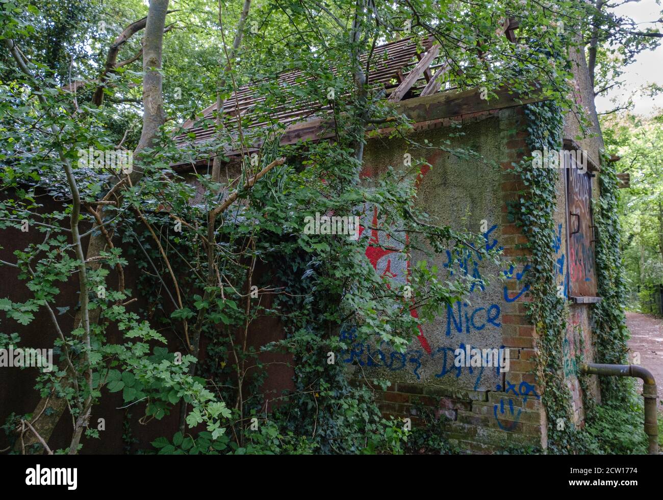 Une structure abandonnée, abandonnée, élicte, de vigne et de graffiti couverte avec toit cassé au milieu des bois. Réserve naturelle de Ruislip Woods, NW London. Banque D'Images