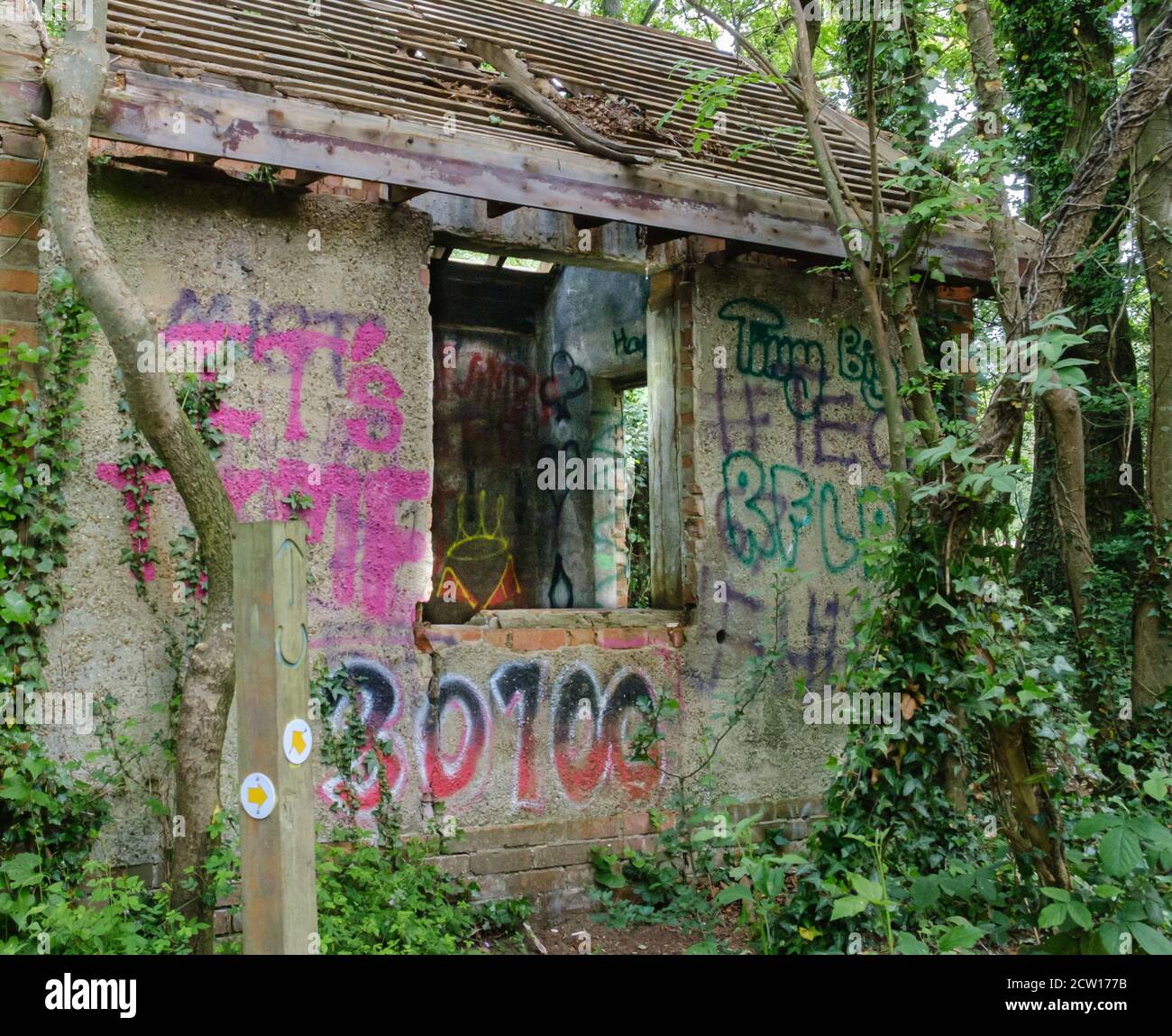 Une structure abandonnée, abandonnée, élicte, de vigne et de graffiti couverte avec toit cassé au milieu des bois. Réserve naturelle de Ruislip Woods, NW London. Banque D'Images