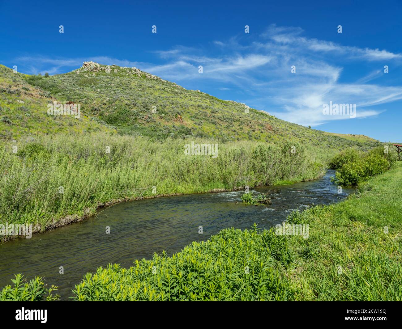 Petit ruisseau de montagne, Park City Utah États-Unis Banque D'Images