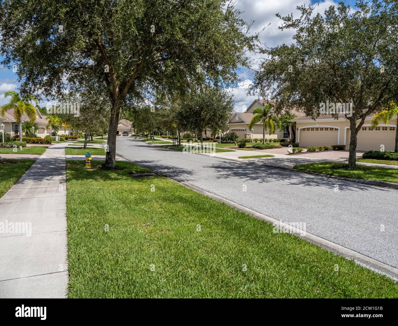 Rue résidentielle tranquille bordée d'arbres en Floride aux États-Unis États-Unis Banque D'Images