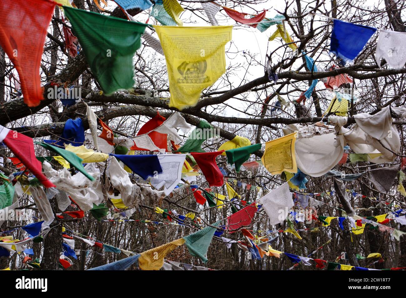 drapeaux de prière sur les cordes dans la forêt Banque D'Images